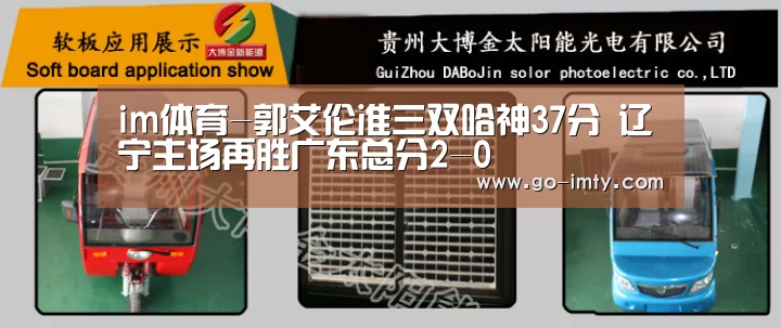 im体育-郭艾伦准三双哈神37分 辽宁主场再胜广东总分2-0