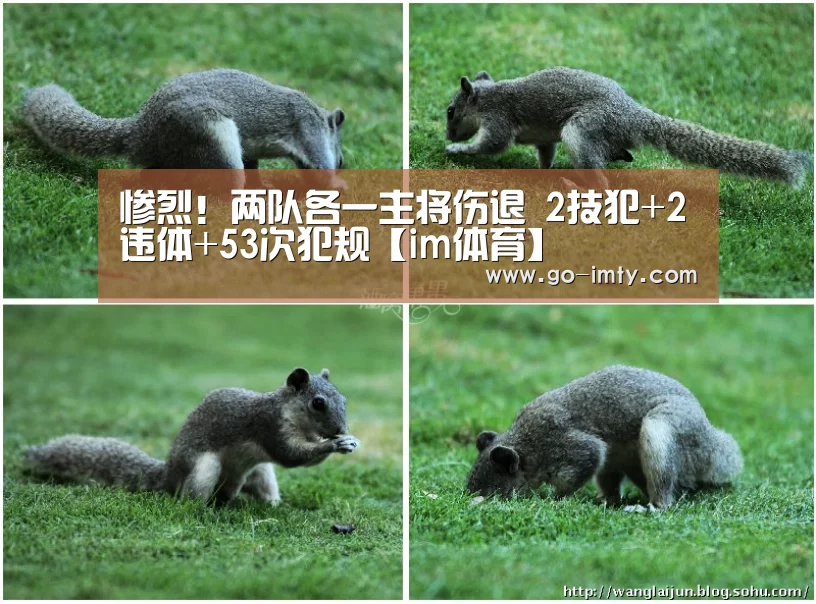 惨烈！两队各一主将伤退 2技犯+2违体+53次犯规【im体育】
